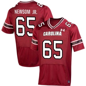 #65 Rodney Newsom Jr. South Carolina Gamecocks Garnet Mens Jersey 2025-26 College Football 392496-480