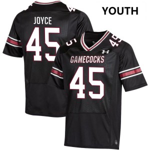 #45 William Joyce South Carolina Gamecocks Black Youth Jerseys Official College Football 783453-991