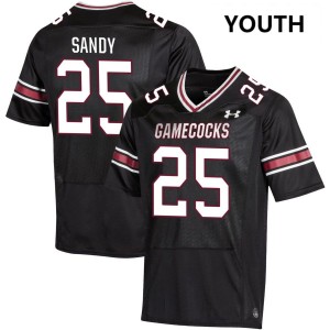 #25 Zahbari Sandy Gamecocks Black Youth Jerseys High School College Football 838672-998